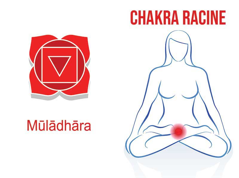 Où se situe le chakra racine ? Le premier des 7 chakras.