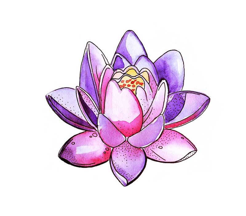 tatouage symbolique fleur de lotus