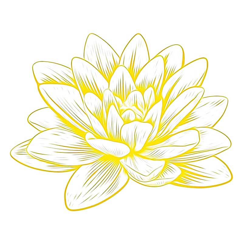 symbole bouddhiste fleur de lotus dorée